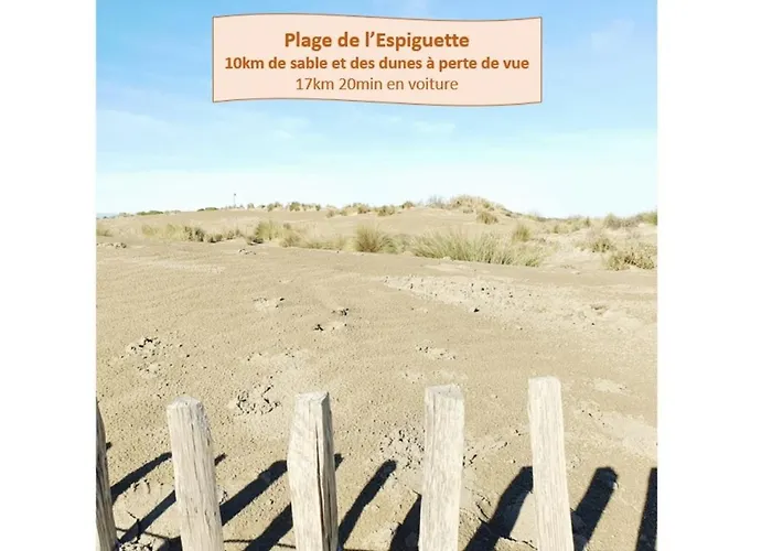 Suite Thalassa 1Ere Ligne Plages Du Couchant Wifi - Rossiconciergerie - Linge Inclus