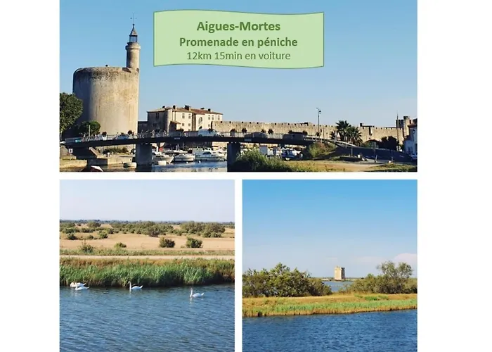 Suite Thalassa 1Ere Ligne Plages Du Couchant Wifi - Rossiconciergerie - Linge Inclus