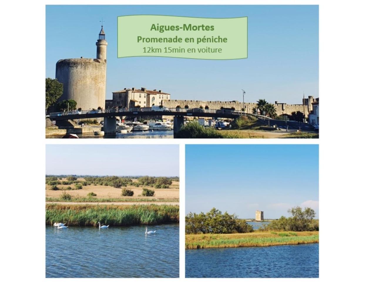 Apartment Thalassa 1ere Ligne Plages Du Couchant Wifi - Rossiconciergerie - Linge Inclus La Grande-Motte